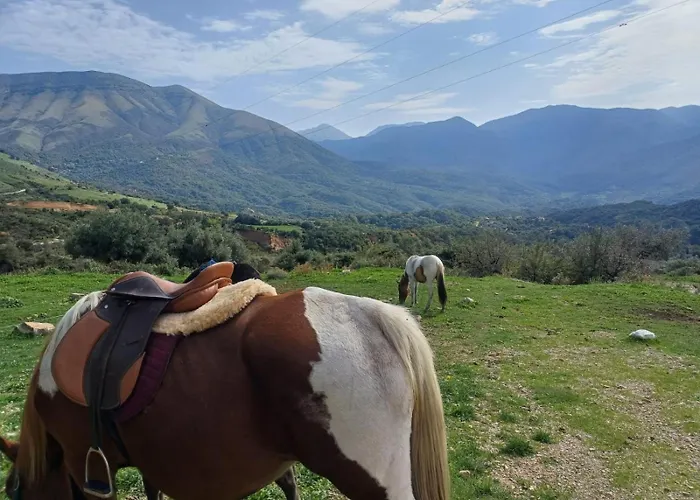 Shqiperide